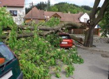 Kwikfynd Tree Cutting Services
newportvic